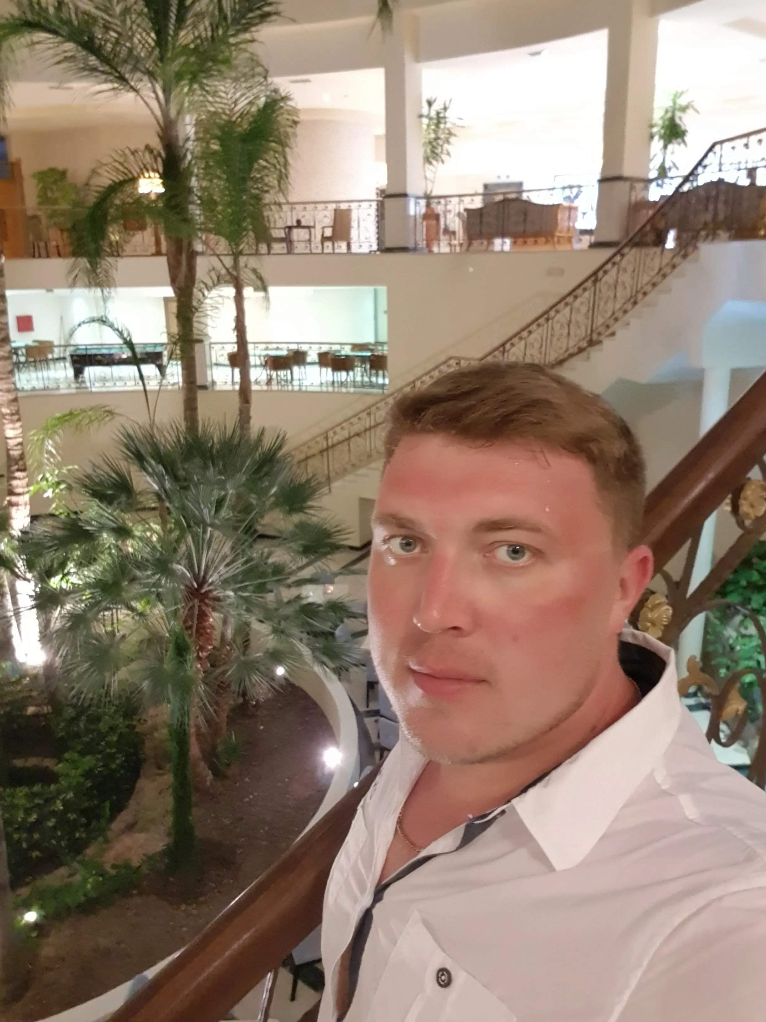 Дмитрий Нестеров