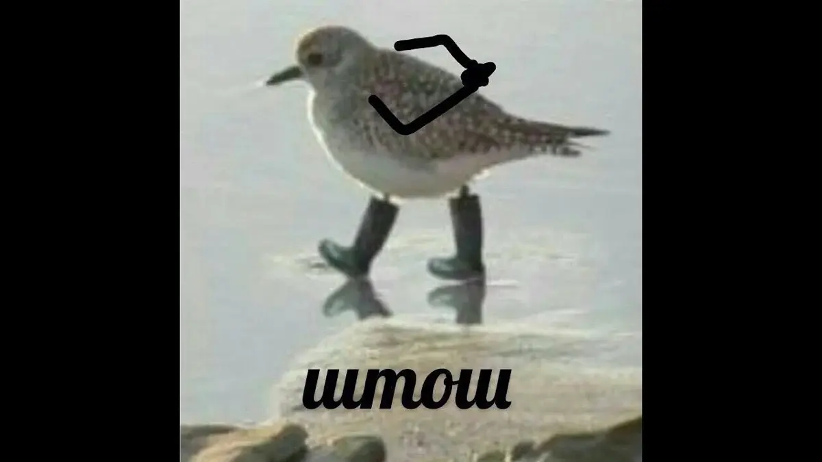 comment image