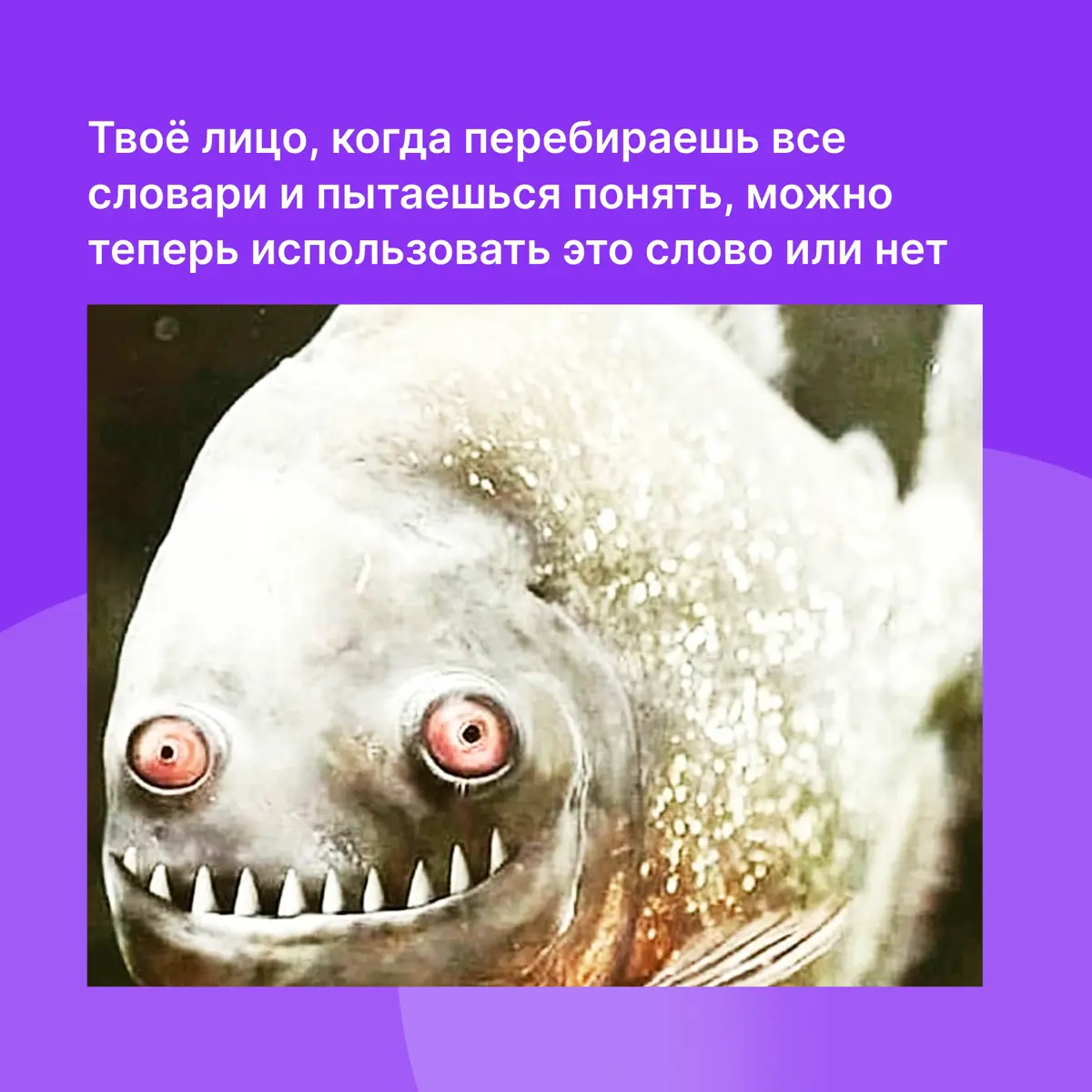 Что делать после запрета на иностранные слова? | Сетка — социальная сеть от hh.ru