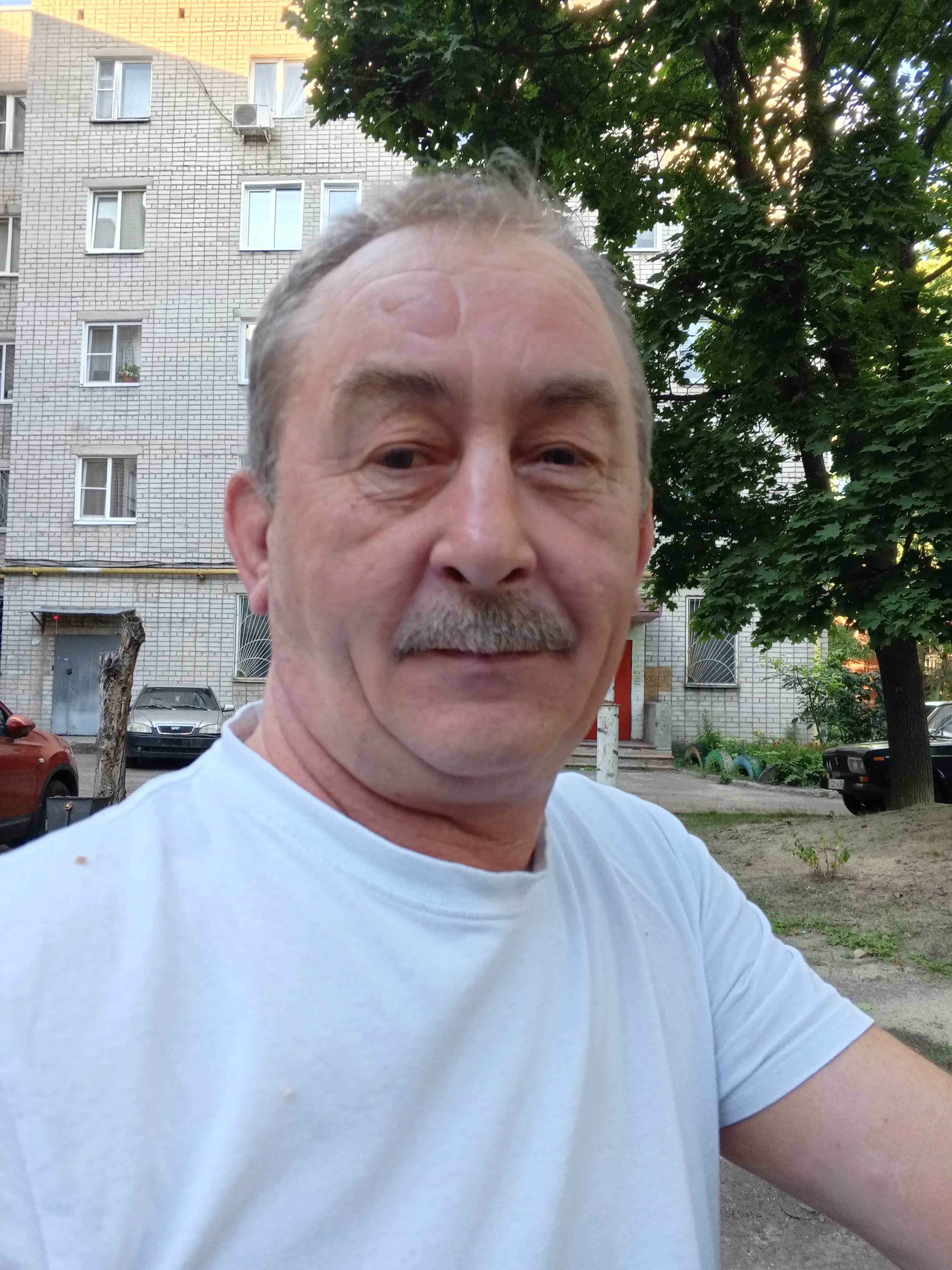 Вячеслав Прибытков
