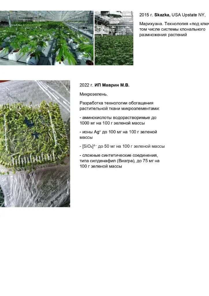 Михаил Маврин