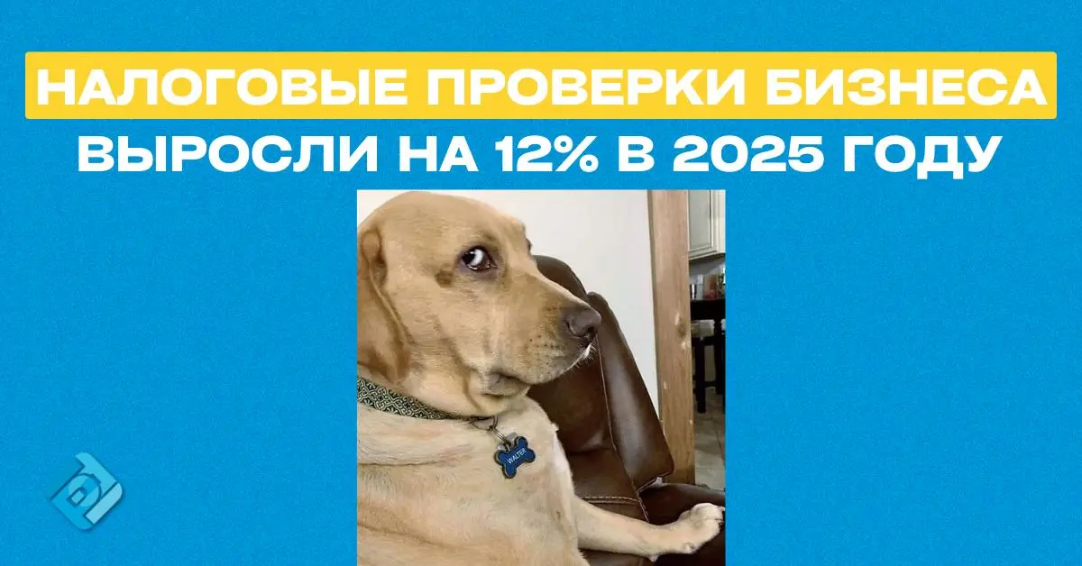 📊 Налоговые проверки бизнеса выросли на 12% в 2025 году
В 2025 году количество выездных налоговых проверок (ВНП) увеличилось на 12,4% — ФНС провела более 5 тыс | Сетка — социальная сеть от hh.ru
