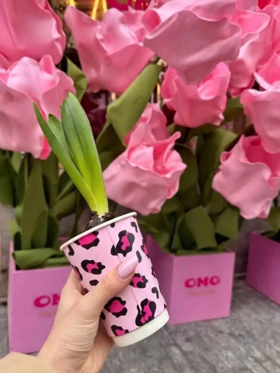🌷Дарить девушкам гиацинты будут в кафе OMG завтра
Первые 50 посетительниц в каждой кофейне получат цветок в брендированном стаканчике | Сетка — социальная сеть от hh.ru