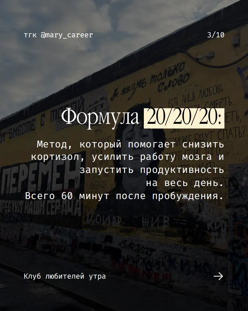 Как я стала просыпаться без будильника ⏰
При желании и возможности любое время суток можно сделать продуктивным.
Робин Шарма
«Клуб 5 часов утра»
#клублюбителейутра #утро #читаемхорошиекниги | Сетка — социальная сеть от hh.ru