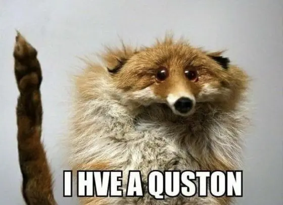 Один вопрос — не вопрос | Сетка — социальная сеть от hh.ru