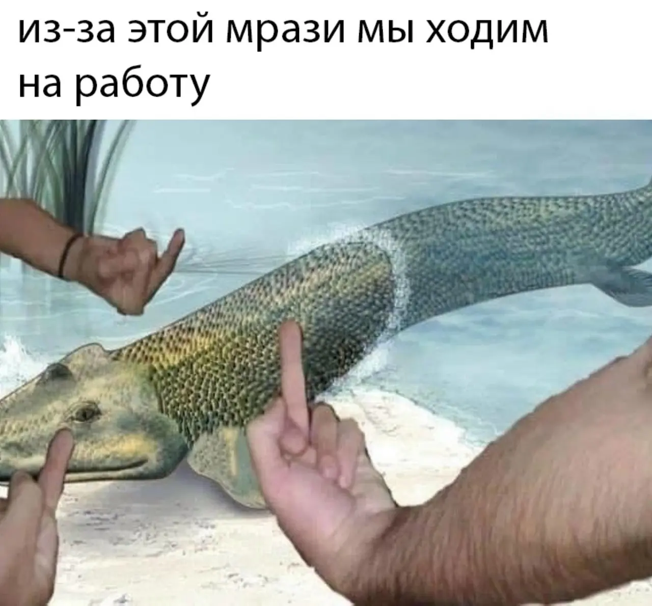 Я так и не нашел ИТшную работу мечты, но уже похер. | Сетка — социальная сеть от hh.ru