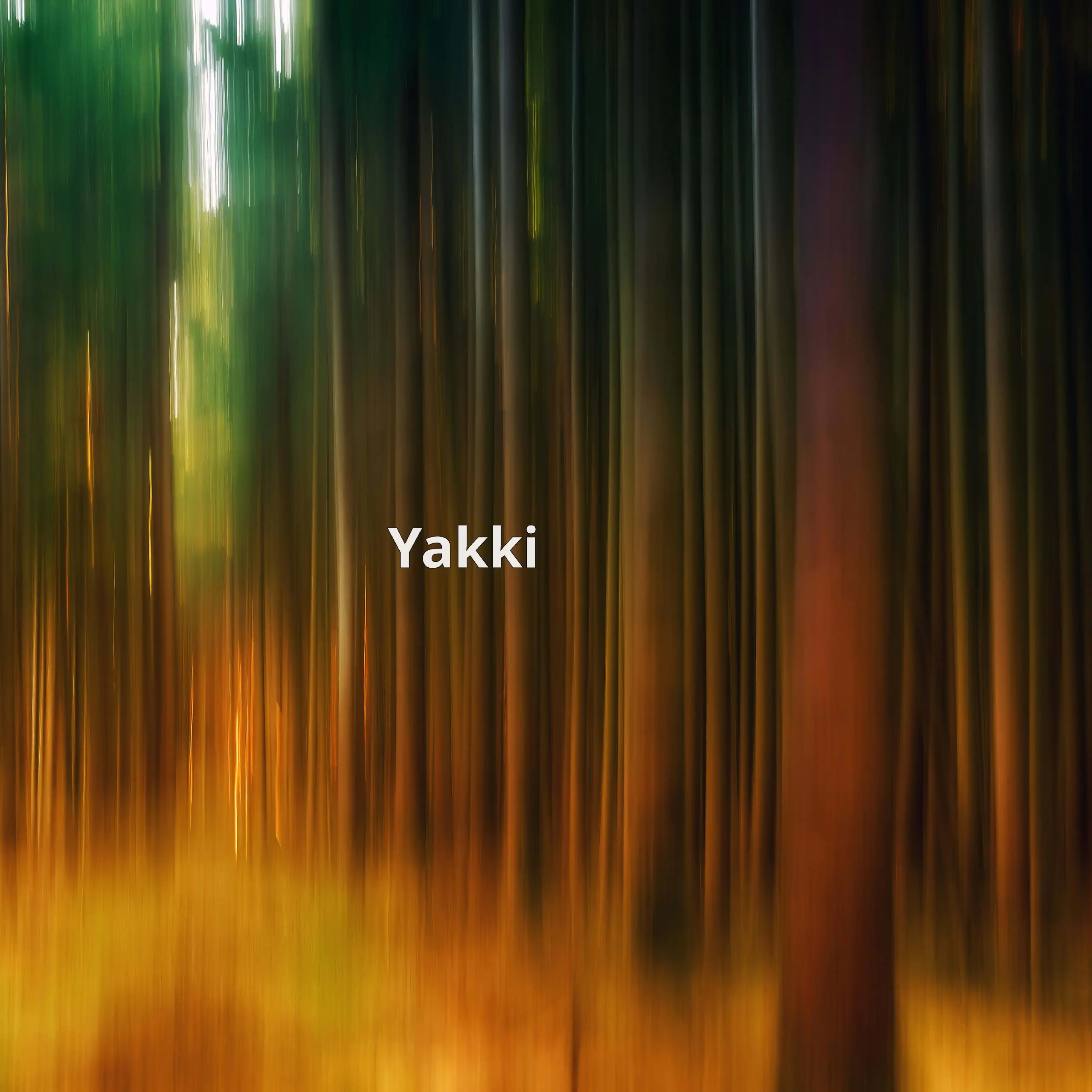 Yakki – это удобное приложение для диктовки и транскрипции на вашем Mac. Оно работает полностью на устройстве, без необходимости в интернет-соединении | Сетка — социальная сеть от hh.ru