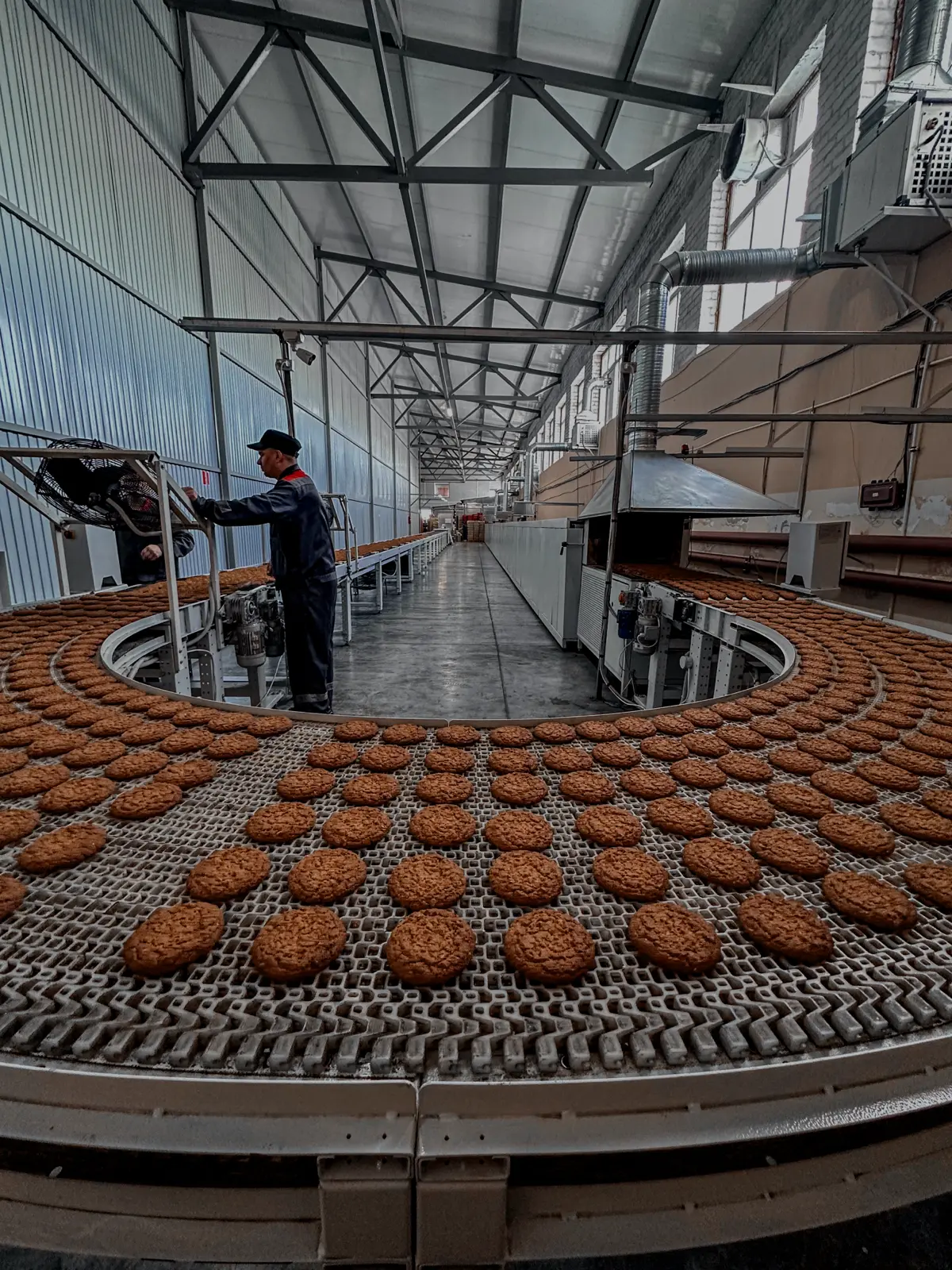 Как запустить продукт-хит и не потерять на сроках годности? | Сетка — социальная сеть от hh.ru