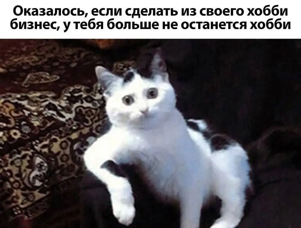 Неожиданный факт 😂
#Юмор@poldner #Коты@poldner | Сетка — социальная сеть от hh.ru