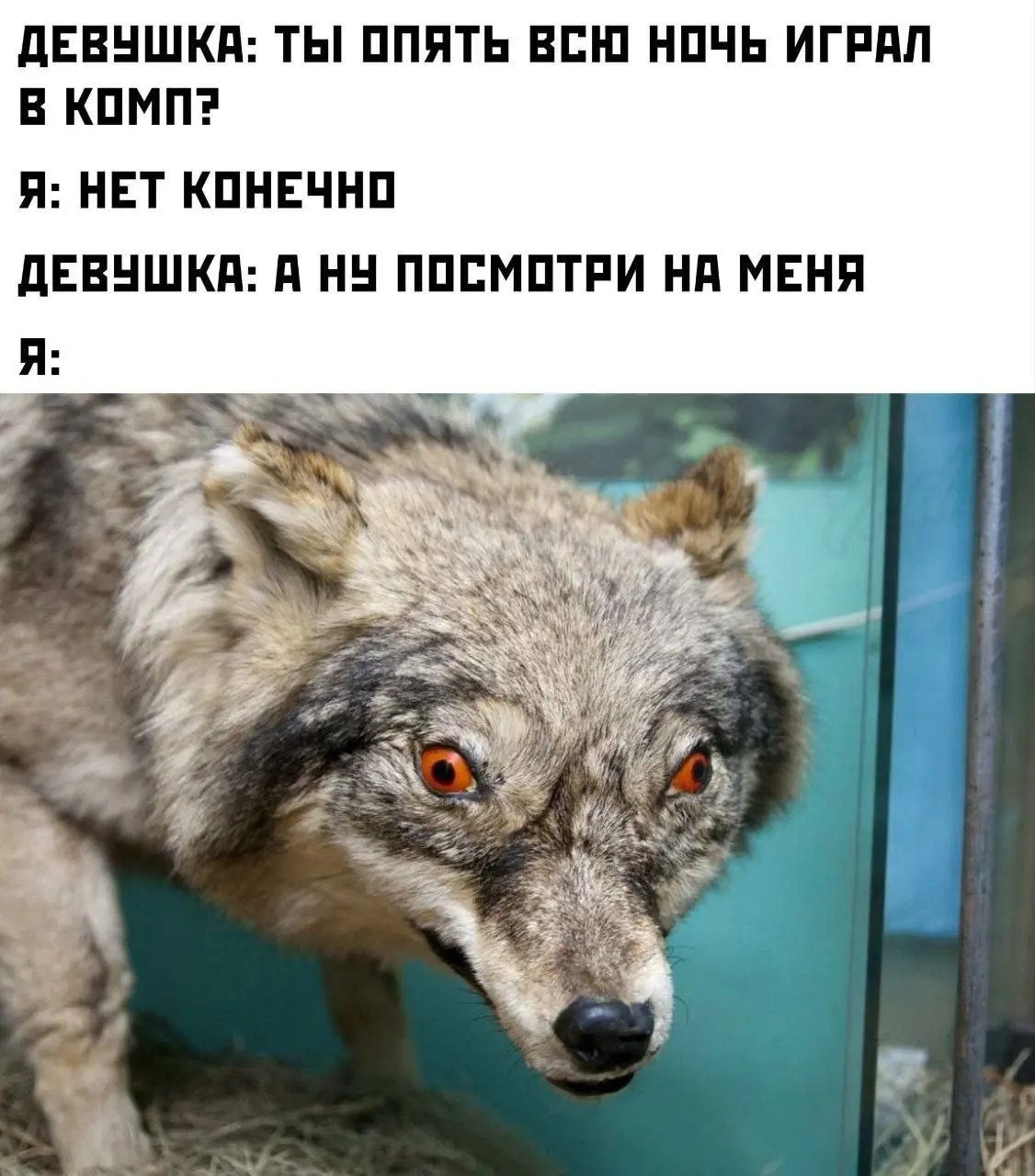 Всю ночь кодил..
#IT | Сетка — социальная сеть от hh.ru