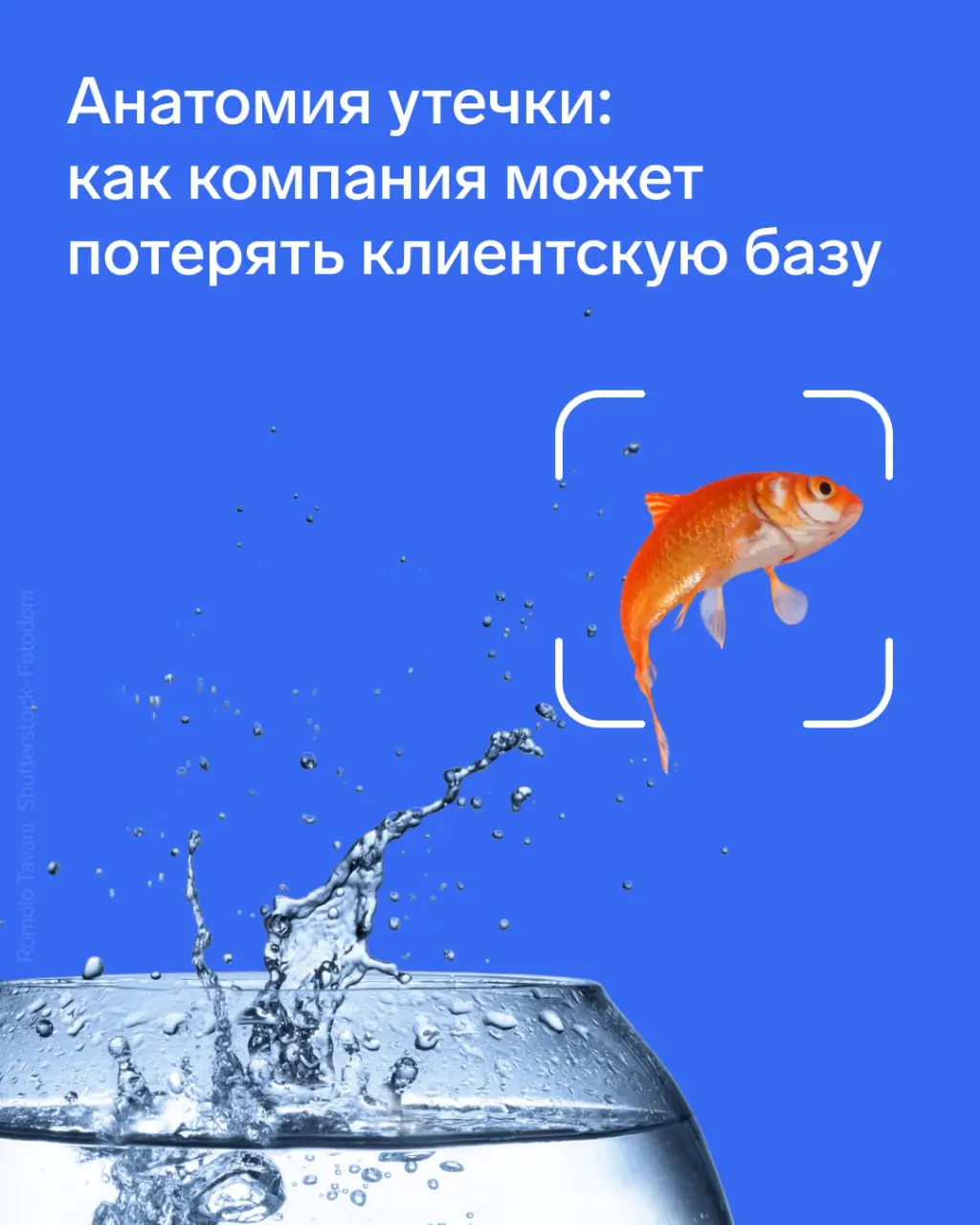 ✋ Анатомия утечки: как компания может потерять клиентскую базу
Клиентская база чаще утекает не «снаружи», а изнутри — через легитимные доступы, привычные процессы и доверие к сотрудникам | Сетка — социальная сеть от hh.ru