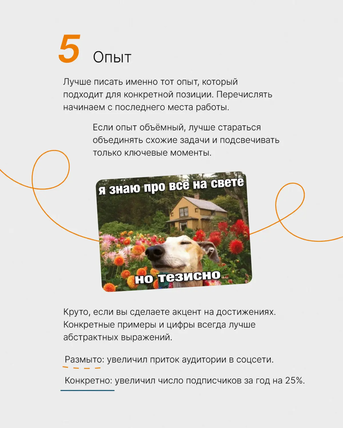 Обновляем резюме: на что стоит обратить внимание 👀 | Сетка — социальная сеть от hh.ru