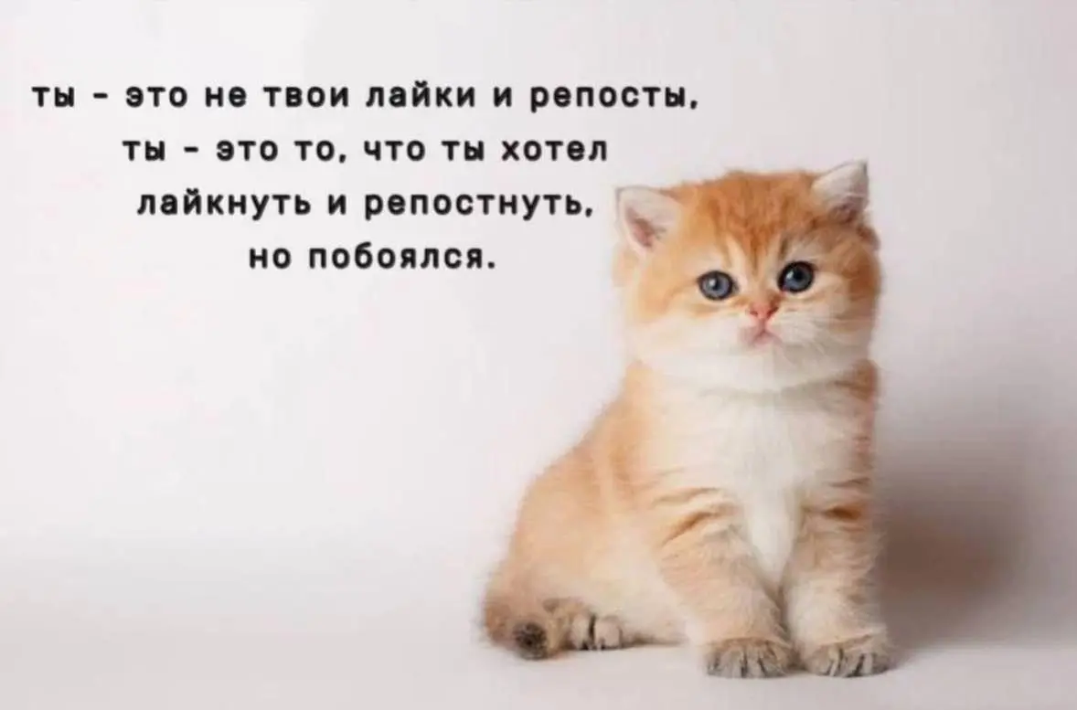 Хорошого дне | Сетка — социальная сеть от hh.ru