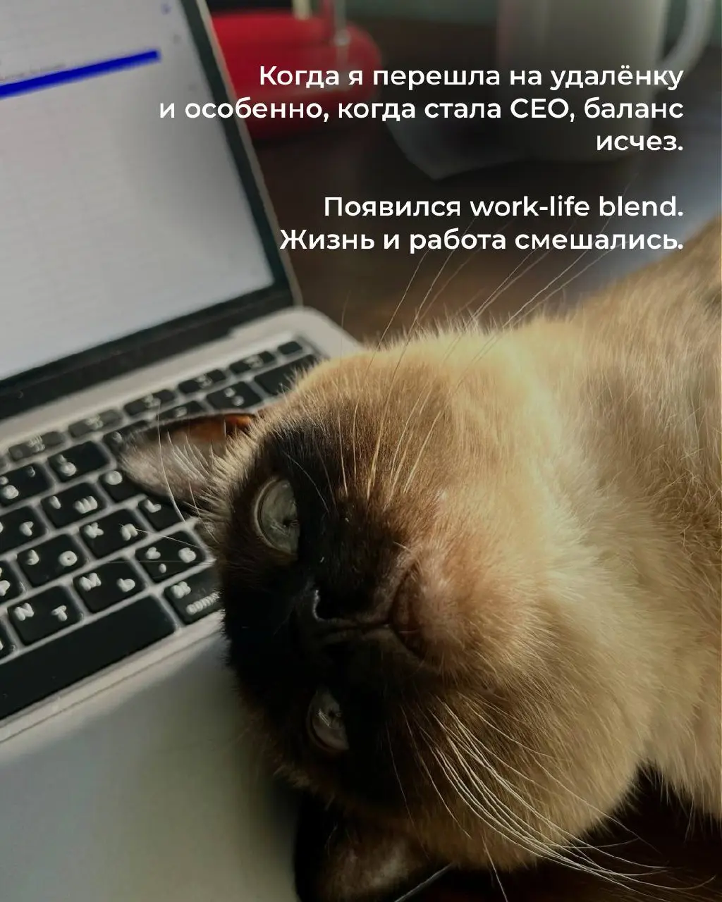 Карточки про мое совмещение работы и материнство✨ | Сетка — социальная сеть от hh.ru