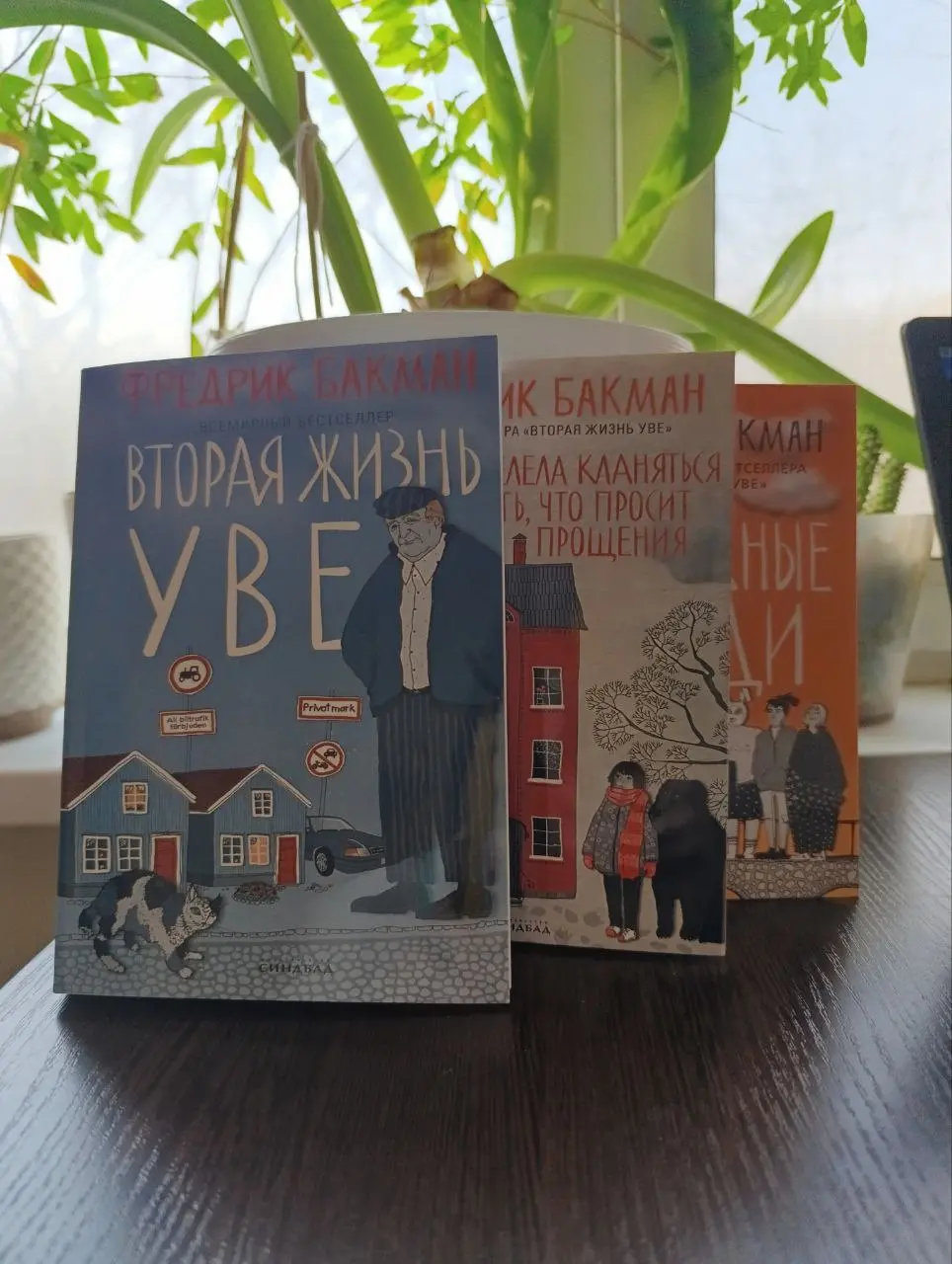🐦‍🔥Прочитала тут запоем книги Фредрика Бакмана – «Вторая жизнь Уве», «Бабушка велела кланяться и передать, что просит прощения», «Тревожные люди» | Сетка — социальная сеть от hh.ru