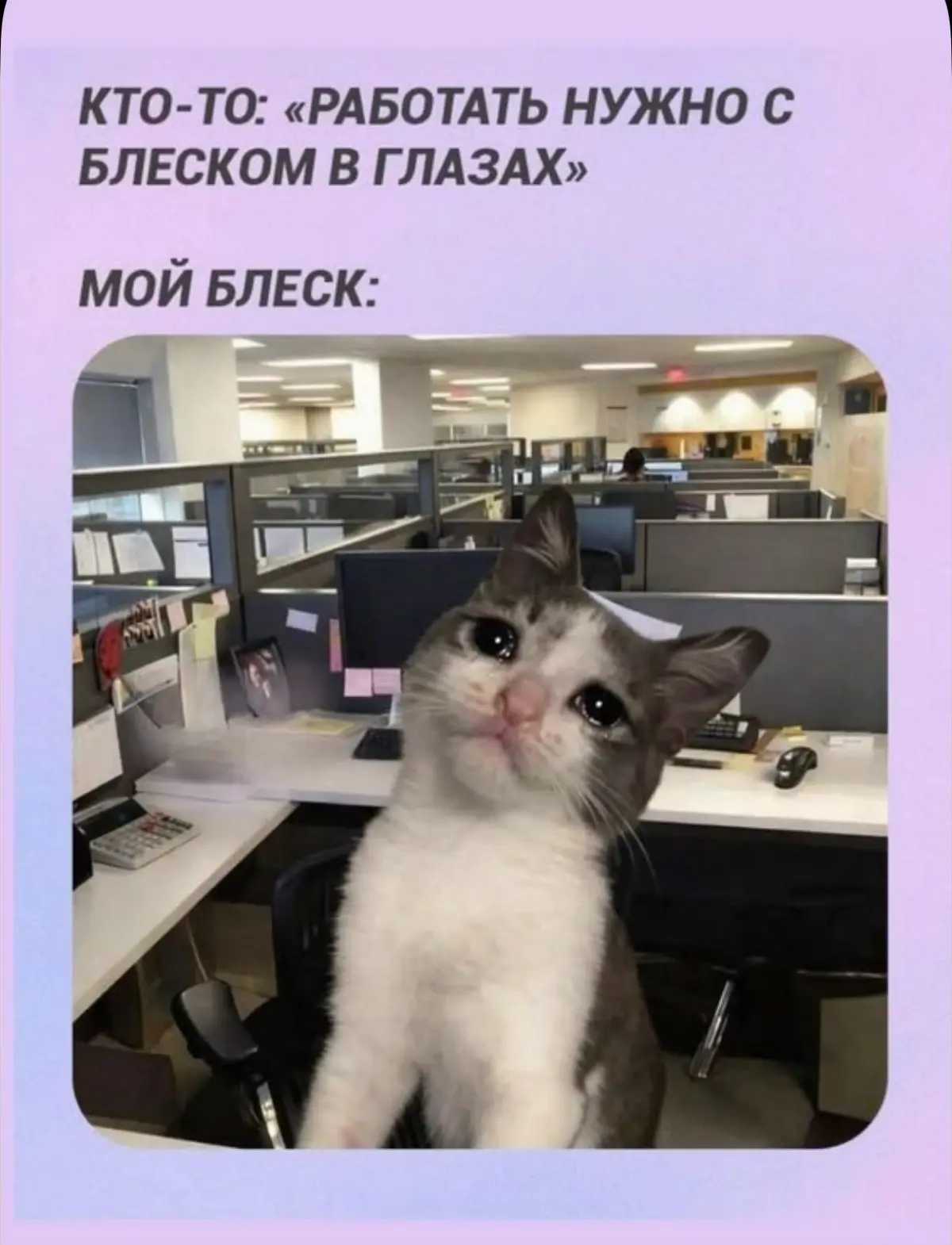 Устаревшие требования: «Хочу, чтобы глаз горел» | Сетка — социальная сеть от hh.ru