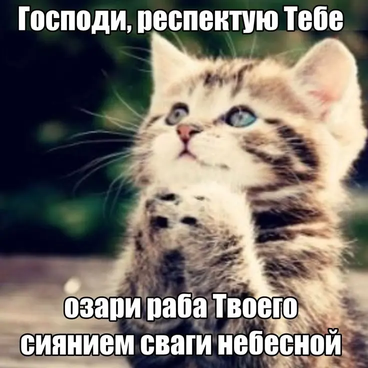 вйцв | Сетка — социальная сеть от hh.ru