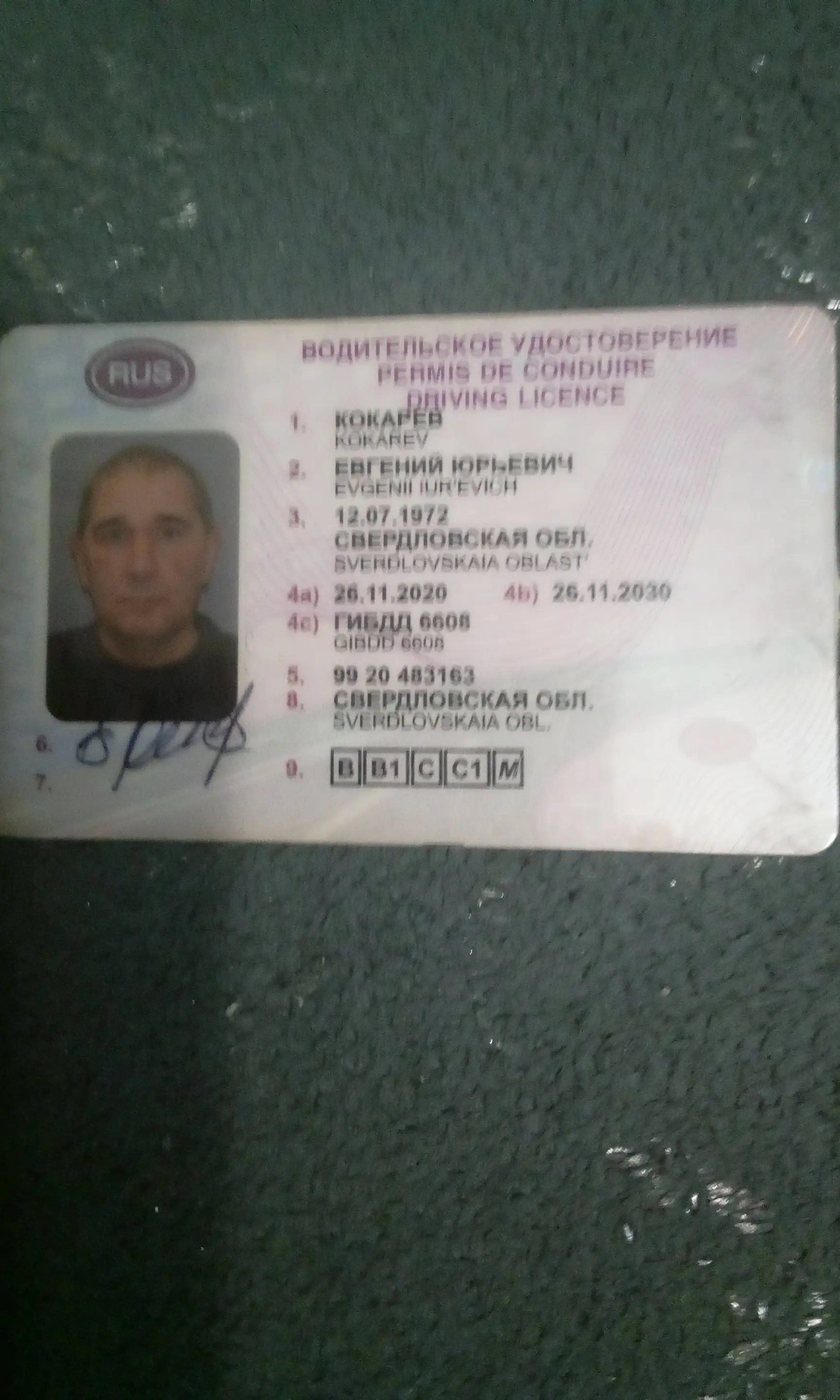 Евгений Кокарев