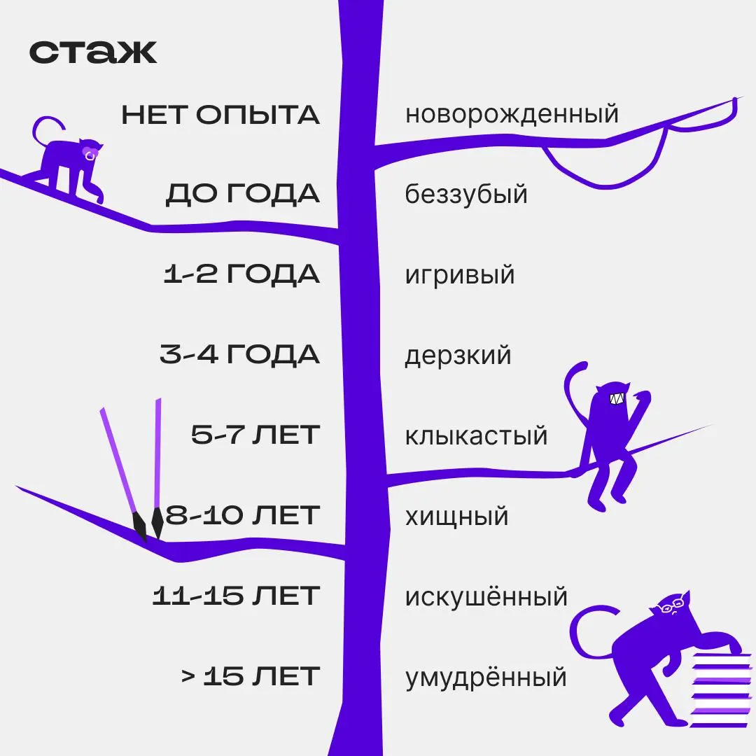 Спорим, вы — клыкастый опоссум? Докажите, если не так | Сетка — социальная сеть от hh.ru