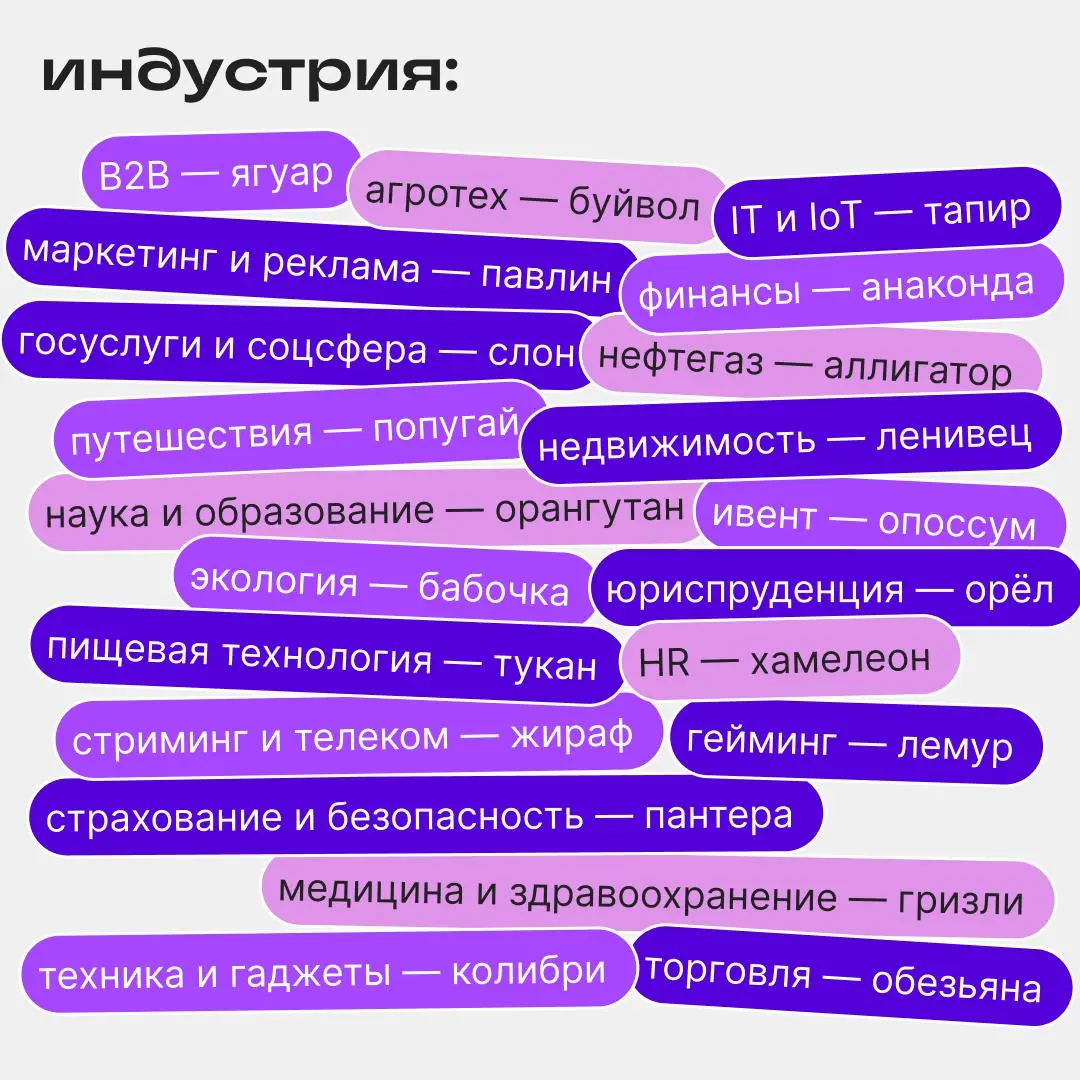 Спорим, вы — клыкастый опоссум? Докажите, если не так | Сетка — социальная сеть от hh.ru