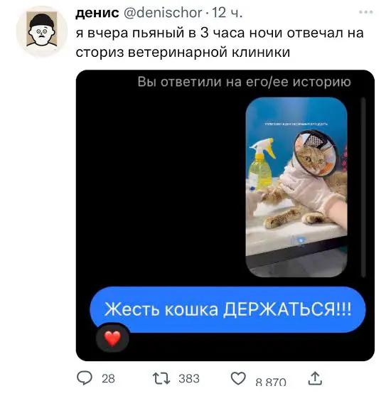 В тяжёлые времена меня спасает этот мем. Может быть, спасёт и вас.
Жесть кошка ДЕРЖАТЬСЯ!!! | Сетка — социальная сеть от hh.ru