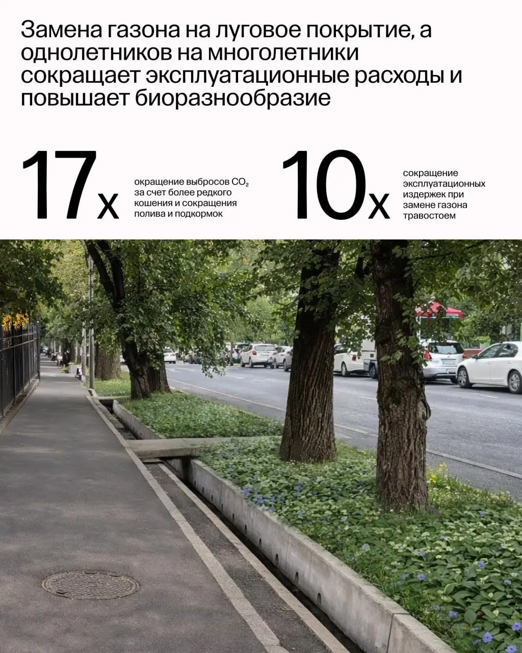 Четвёртая Книга Стандарта благоустройства Алматы посвящена эксплуатации и тому, как заботиться об объектах благоустройства после стройки | Сетка — социальная сеть от hh.ru