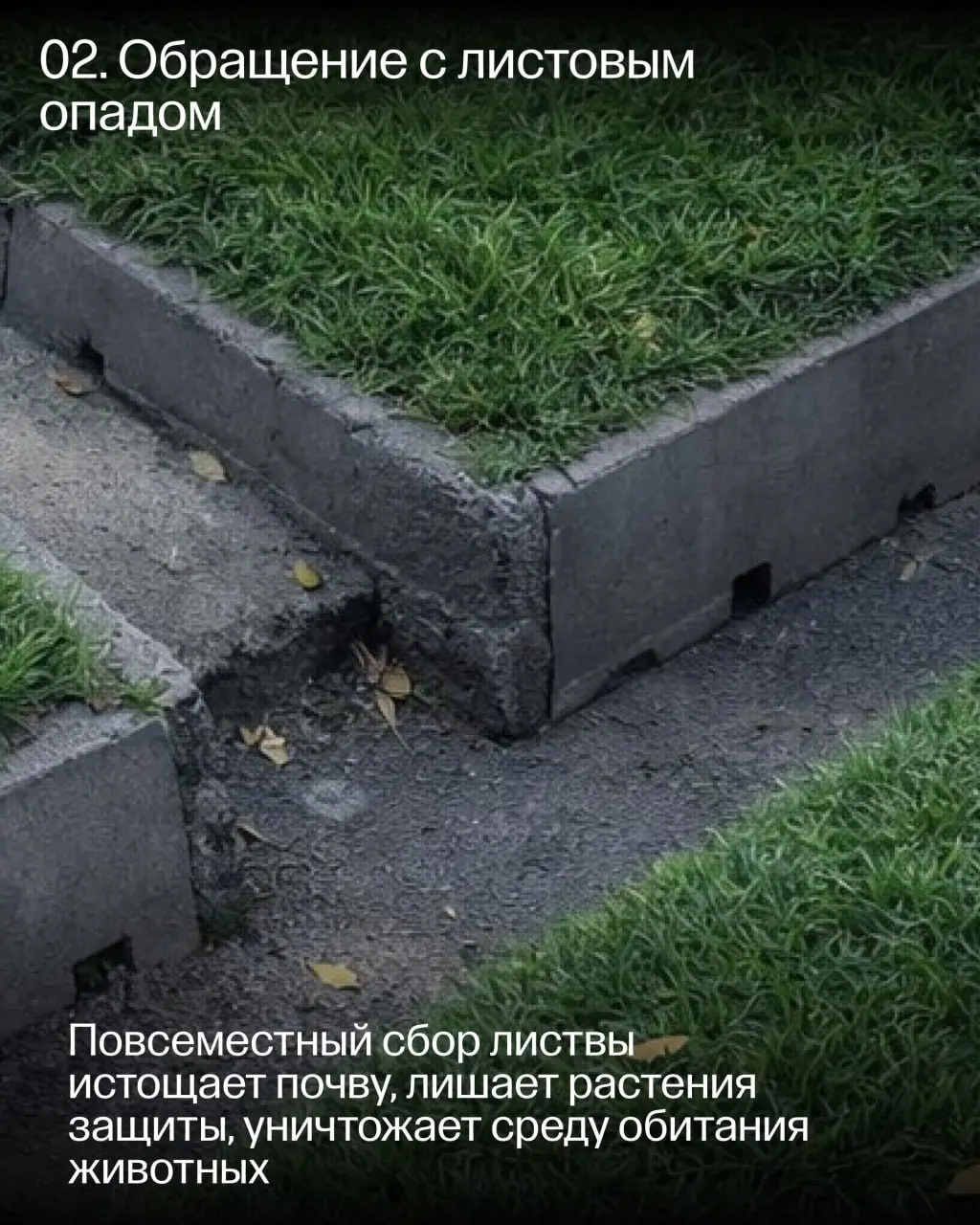 Четвёртая Книга Стандарта благоустройства Алматы посвящена эксплуатации и тому, как заботиться об объектах благоустройства после стройки | Сетка — социальная сеть от hh.ru