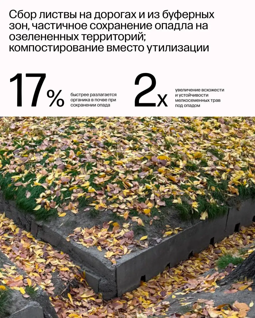 Четвёртая Книга Стандарта благоустройства Алматы посвящена эксплуатации и тому, как заботиться об объектах благоустройства после стройки | Сетка — социальная сеть от hh.ru