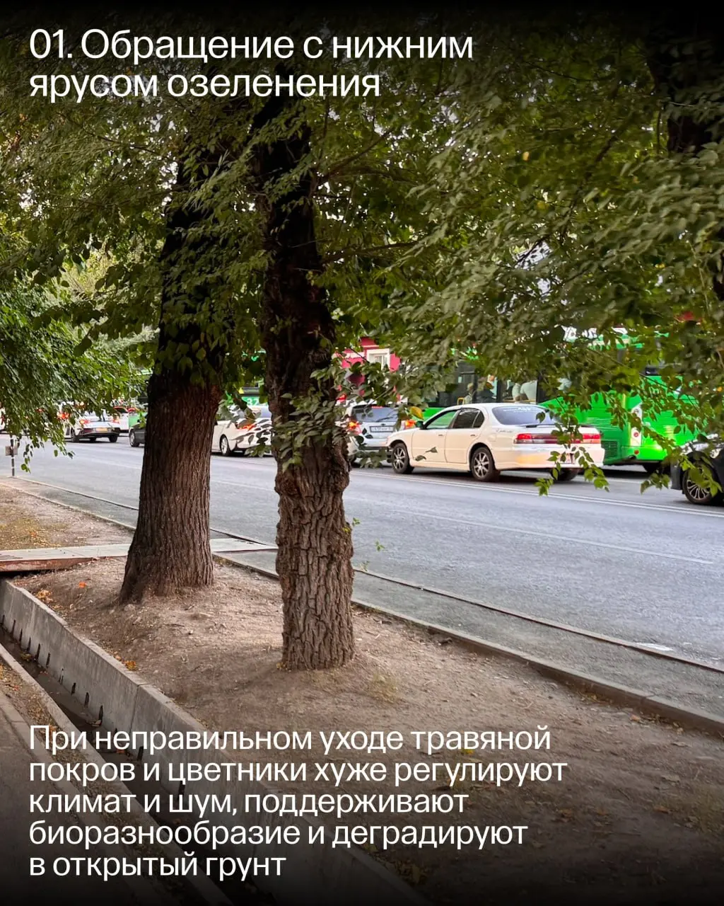 Четвёртая Книга Стандарта благоустройства Алматы посвящена эксплуатации и тому, как заботиться об объектах благоустройства после стройки | Сетка — социальная сеть от hh.ru