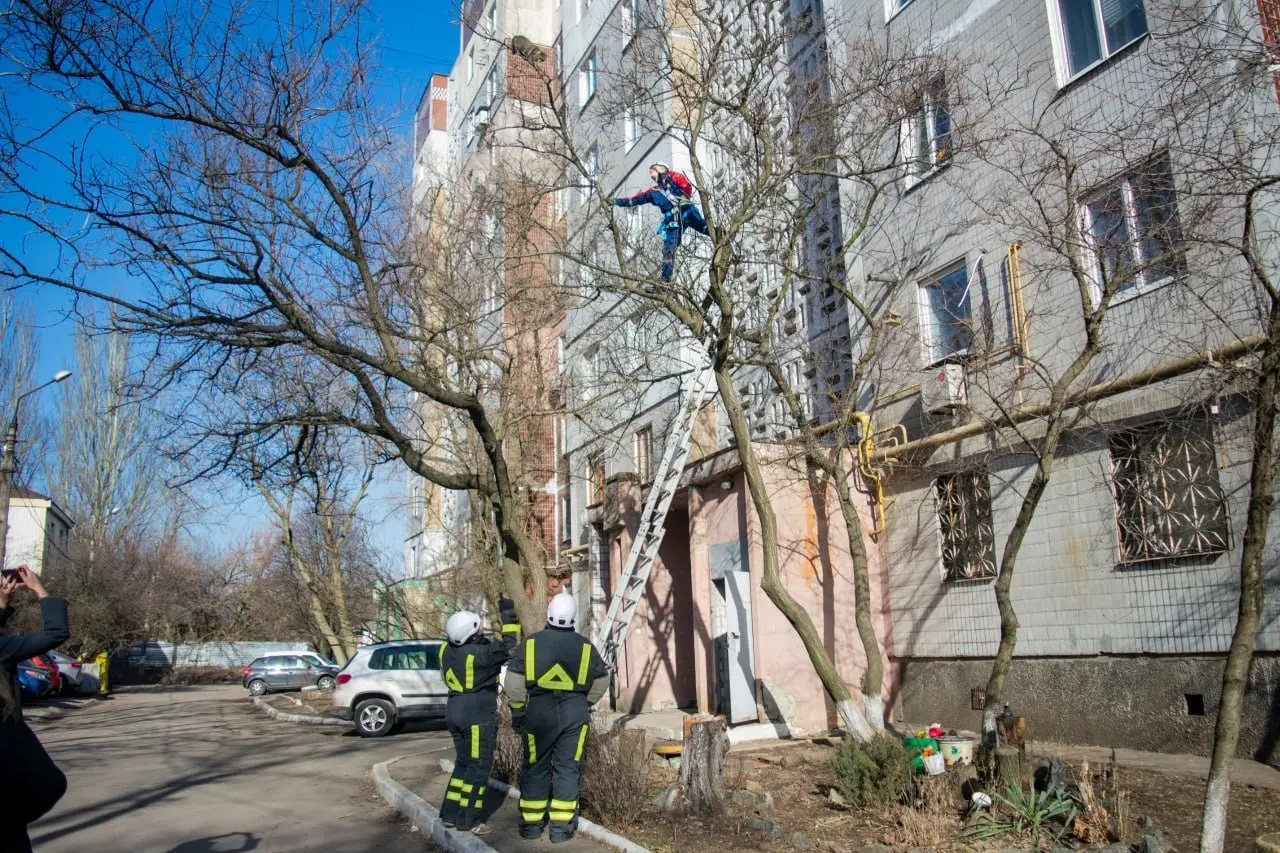 В Донецке спасли кота, застрявшего на дереве
Пушистик застрял на высоте в Киевском районе, он громко звал на помощь — и она пришла | Сетка — социальная сеть от hh.ru
