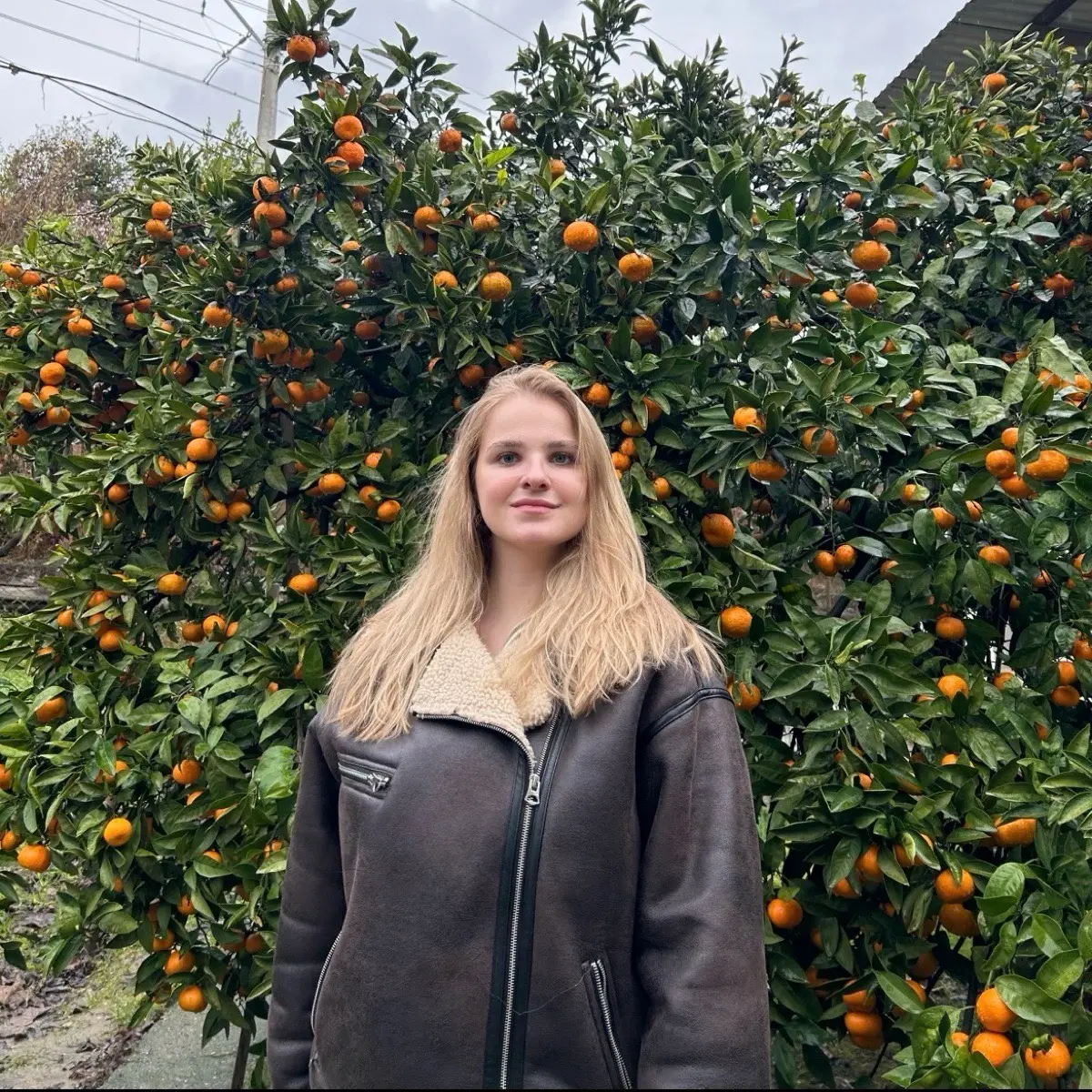 Екатерина Шевченко | Сетка — социальная сеть от hh.ru