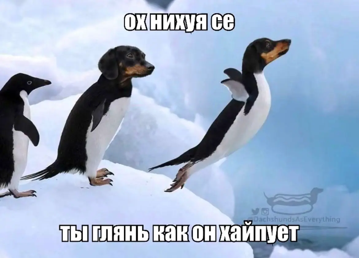 Че по юмору у молодежи? | Сетка — социальная сеть от hh.ru