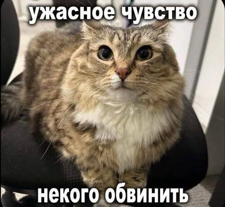 Когда ошибка действительно твоя 😊 | Сетка — социальная сеть от hh.ru
