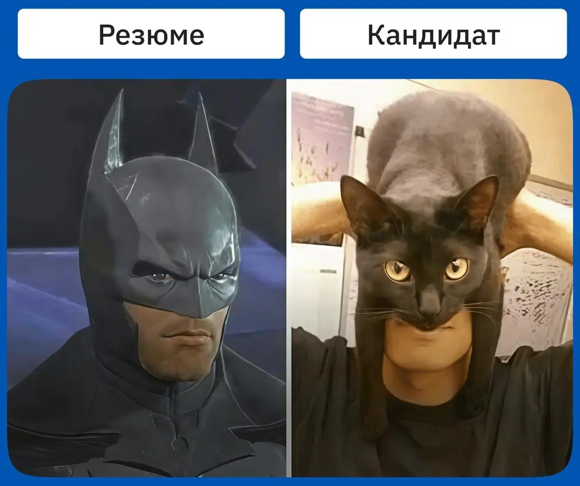 Сетка — социальная сеть от hh.ru