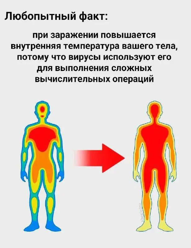 Ох уж эти проклятые майнеры
#IT | Сетка — социальная сеть от hh.ru