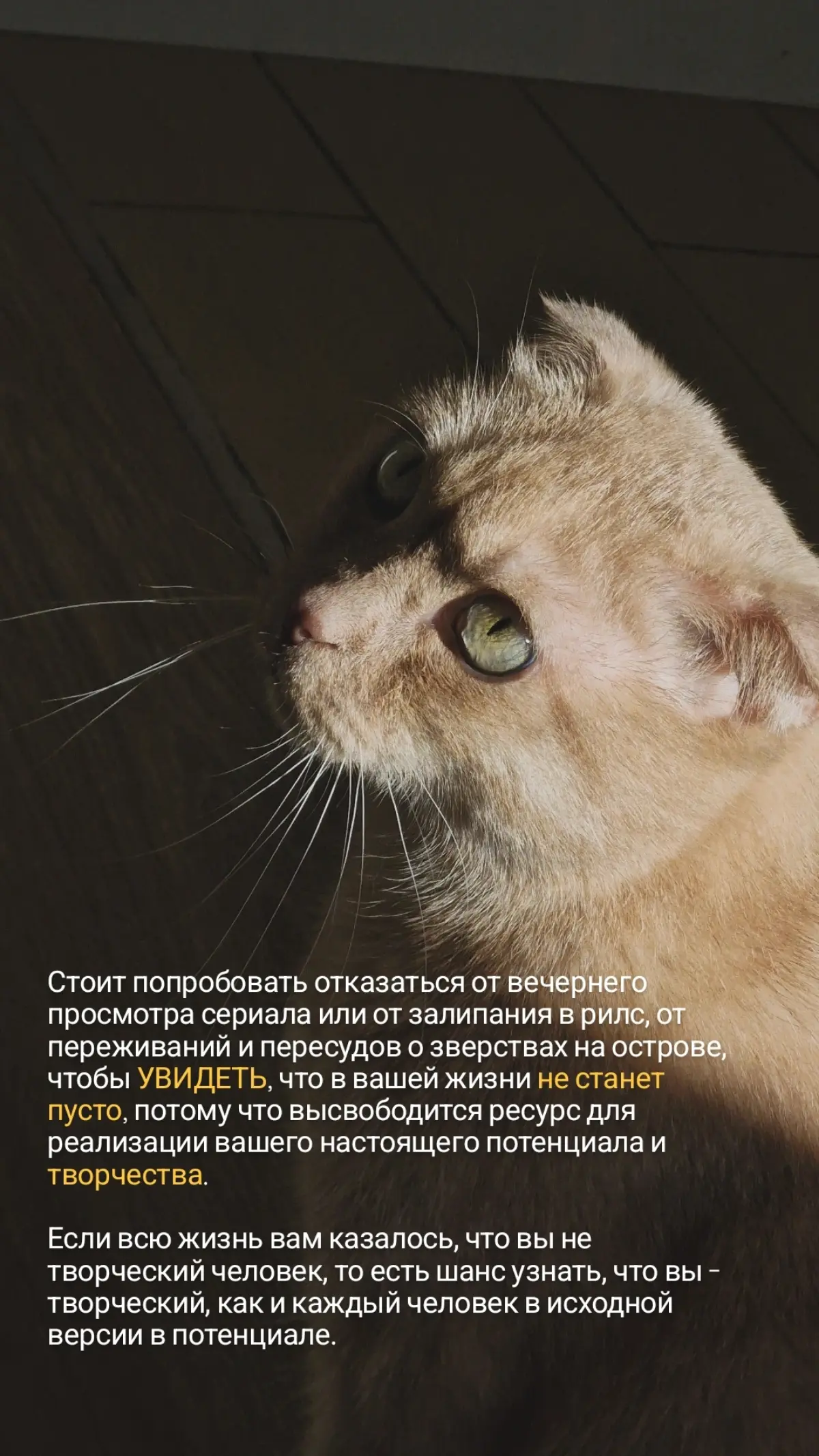 Группа для "продолжающих" 😄
#психология | Сетка — социальная сеть от hh.ru