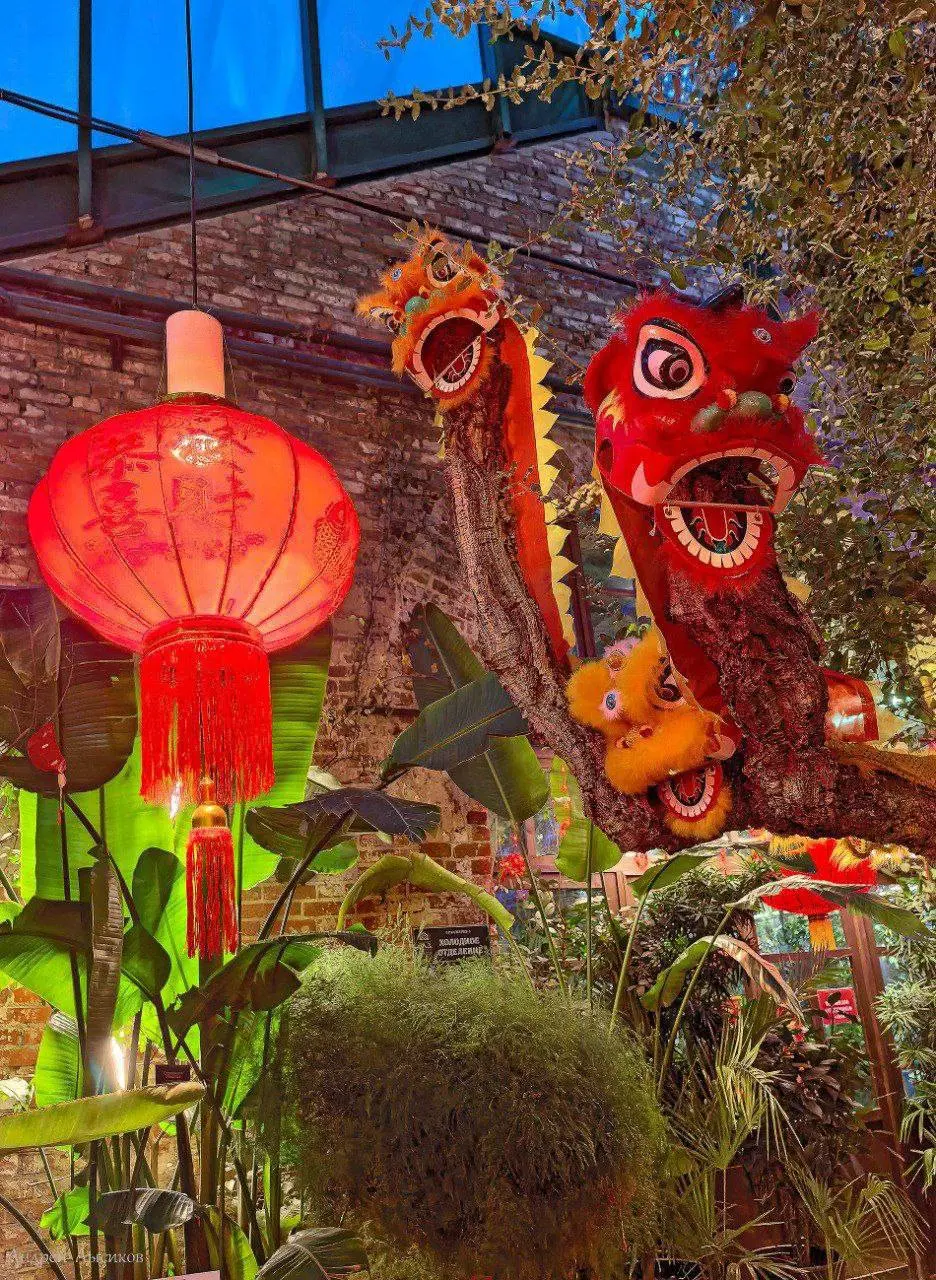 🧧Фестиваль «Китайский Новый год» в Аптекарском огороде продлен до 16 марта
ежедневно с 10:00 до 19:45
Субтропическая оранжерея преобразилась в соответствии с традициями Китайского Нового года: сотни к... | Сетка — социальная сеть от hh.ru