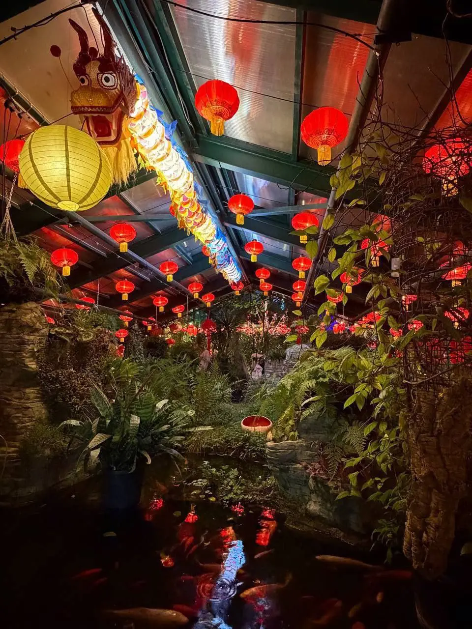 🧧Фестиваль «Китайский Новый год» в Аптекарском огороде продлен до 16 марта
ежедневно с 10:00 до 19:45
Субтропическая оранжерея преобразилась в соответствии с традициями Китайского Нового года: сотни к... | Сетка — социальная сеть от hh.ru