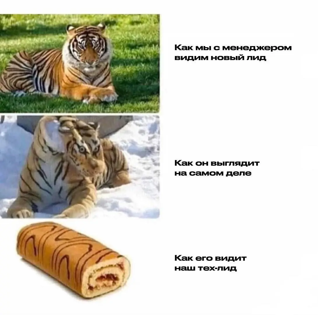 #жиза #юмор #пятница | Сетка — социальная сеть от hh.ru