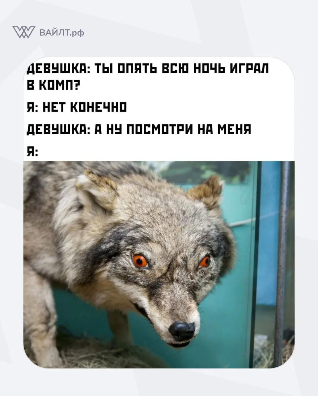 #Мем
@whiletru | Сетка — социальная сеть от hh.ru