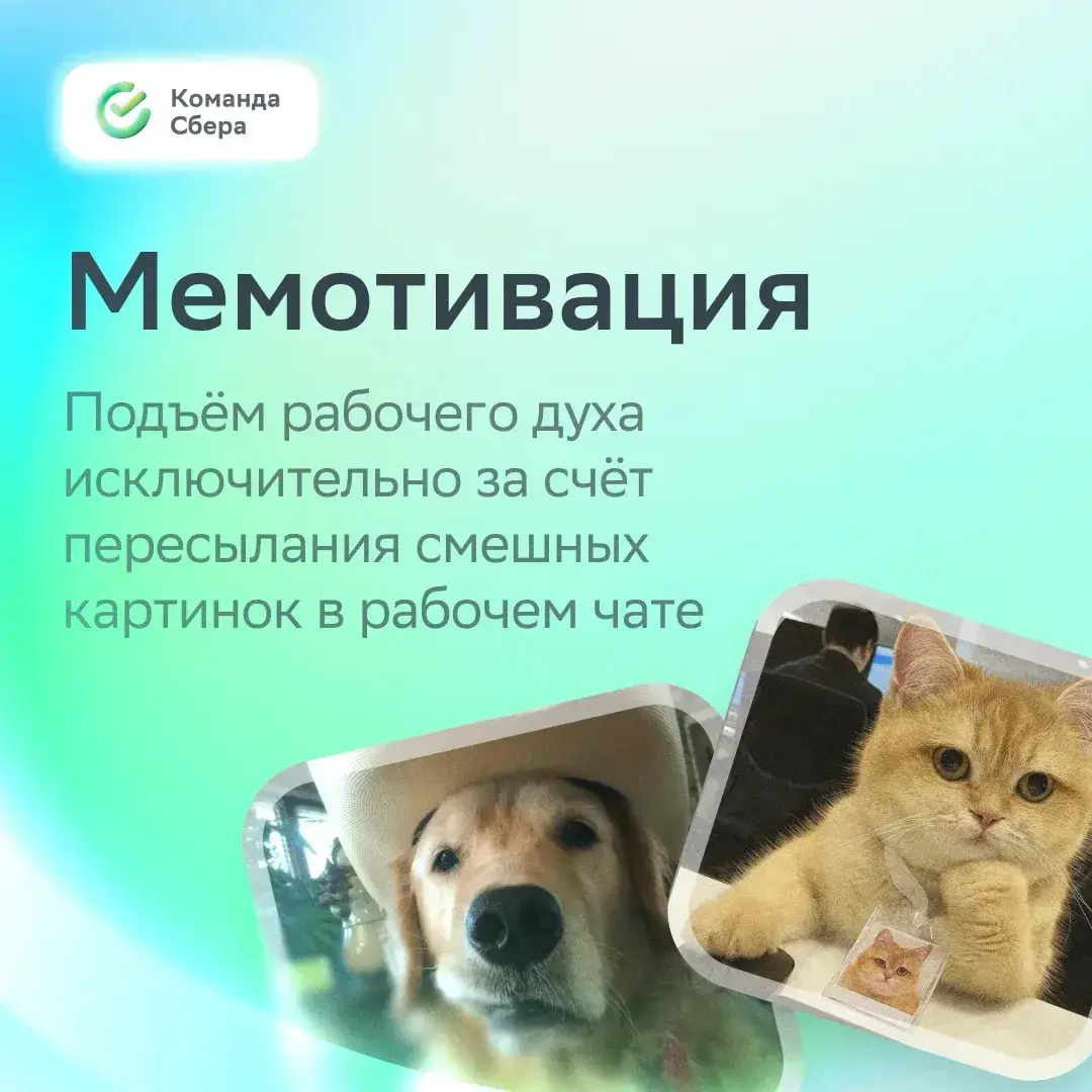 Это правда: ничто так не поднимает настроение, как мемы в рабочих чатах! | Сетка — социальная сеть от hh.ru