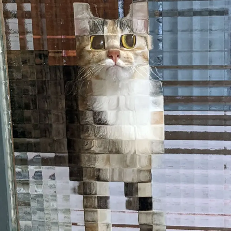 Галина Таганова | Сетка — социальная сеть от hh.ru