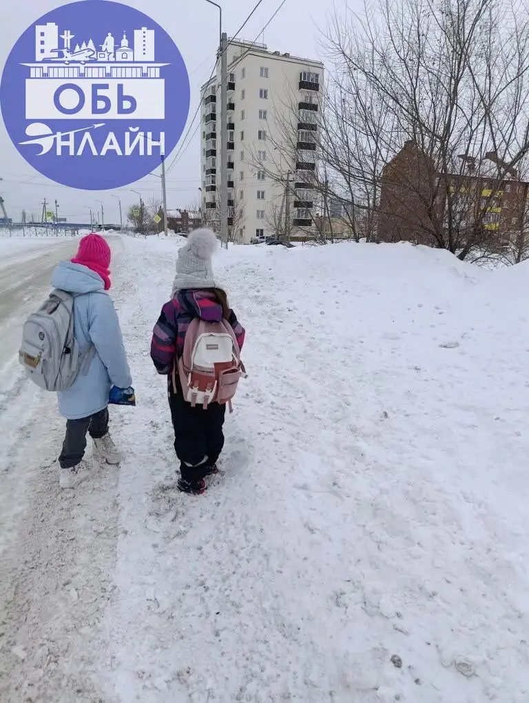 ↗ Дети идут по дороге, тратуар просто завален, с дороги всё скинули и ветер добавил. Если случится что-то с детьми? Кто понесёт наказание?
vk.ru
Подробнее на https://vk.com/ob | Сетка — социальная сеть от hh.ru