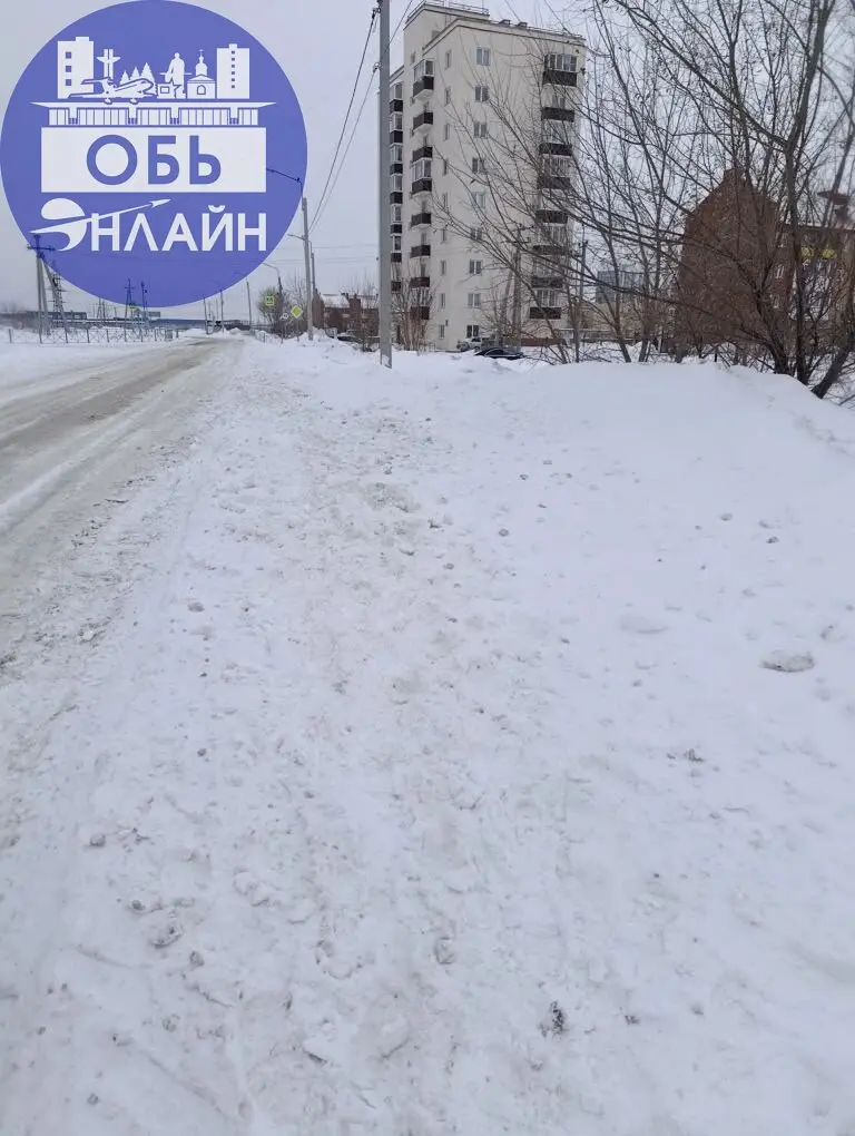 ↗ Дети идут по дороге, тратуар просто завален, с дороги всё скинули и ветер добавил. Если случится что-то с детьми? Кто понесёт наказание?
vk.ru
Подробнее на https://vk.com/ob | Сетка — социальная сеть от hh.ru