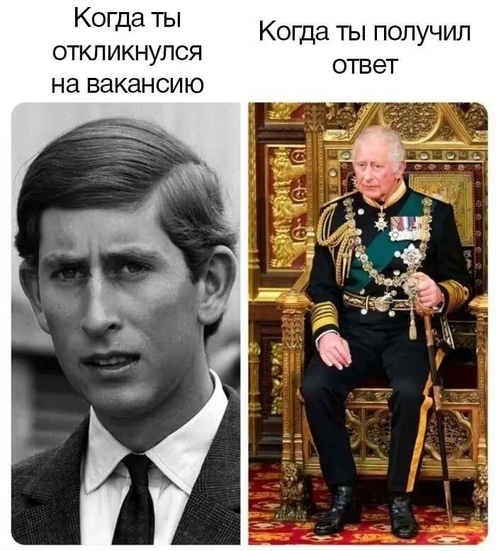 Что хочется сказать... Надо диверсифицировать риски, откликаться в разные компании! | Сетка — социальная сеть от hh.ru