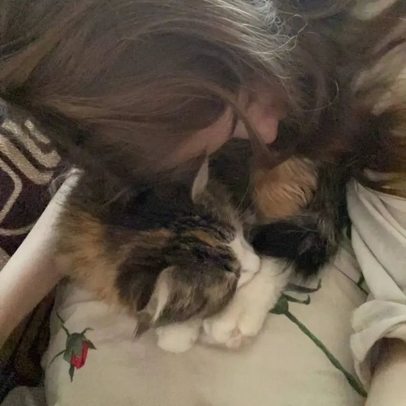 Александр Ананченко | Сетка — социальная сеть от hh.ru