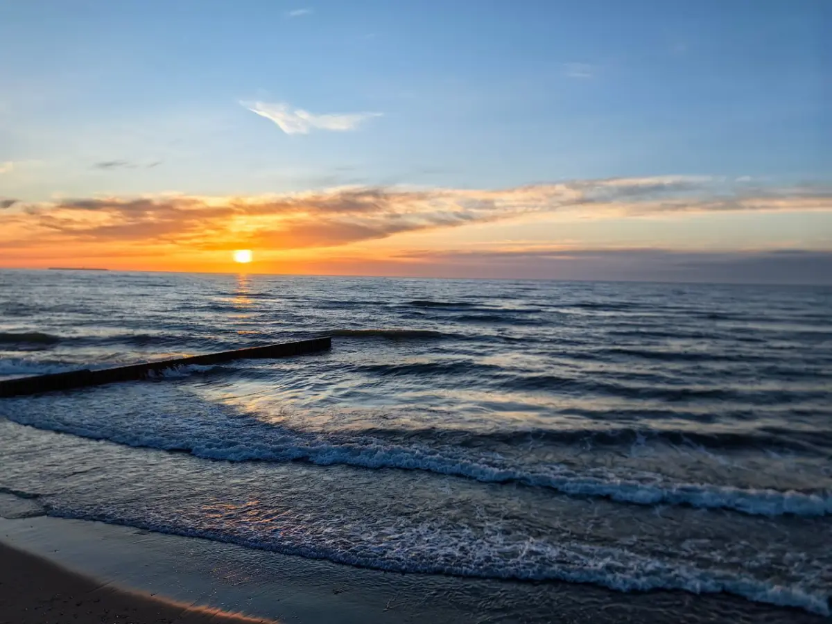 IT всё? ИИ нас заменит? Выдыхаем | Сетка — социальная сеть от hh.ru