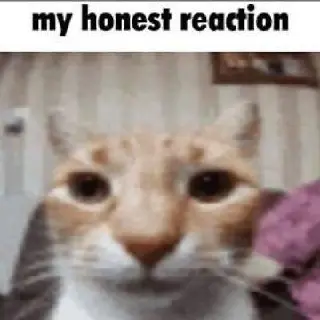 My honest reaction 🫡 на то, что многие до сих пор верят, что застройщик готов отдать недвижку вам дешевле, если вы придете «напрямую»… | Сетка — социальная сеть от hh.ru