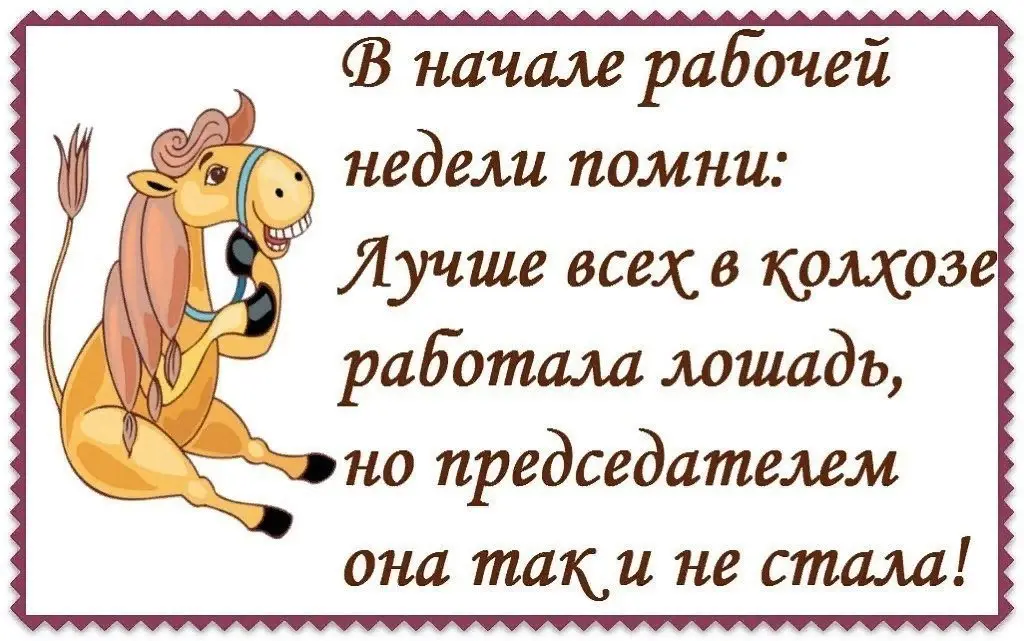 ✏️ Водоснабжение и канализация: Пятница, пора отдыхать.
Помни, лучше всех в колхозе работала лошадь, но председателем она так и не стала.
https://vk.com/video-173795199456239325 | Сетка — социальная сеть от hh.ru