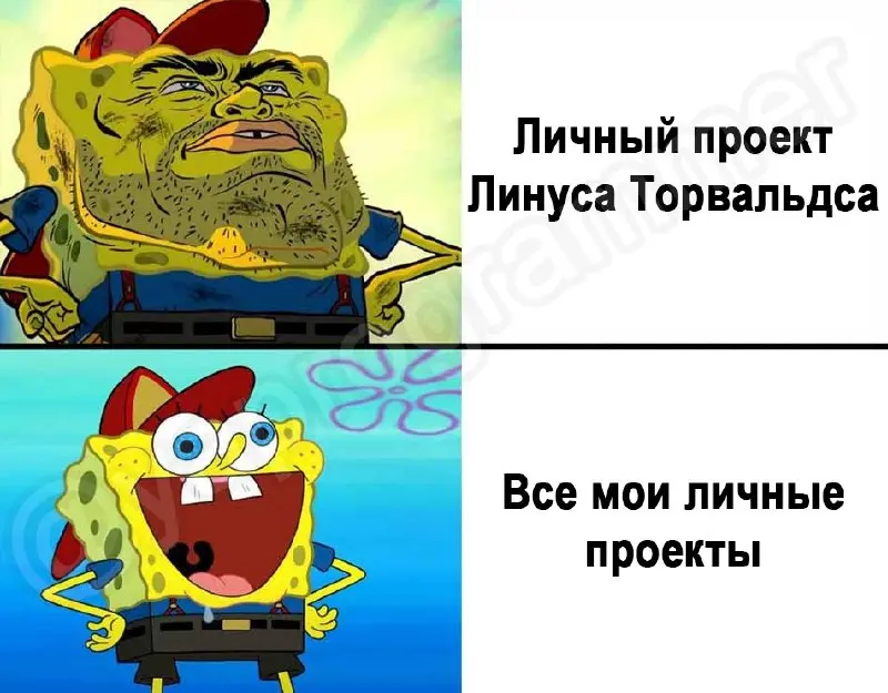 Подпишись, и солнце выйдет (даже в Питере) 🚀 | Сетка — социальная сеть от hh.ru